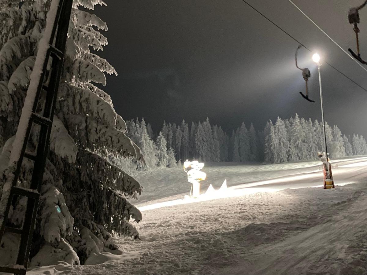 FEWO Jäger Willingen  Exterior foto